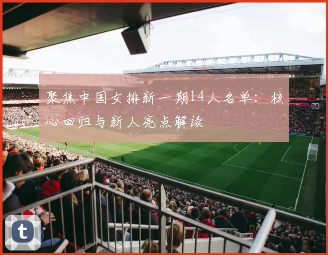 聚焦中国女排新一期14人名单：核心回归与新人亮点解读