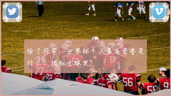 除了冠军，世界杯个人最高荣誉是什么？揭秘金球奖