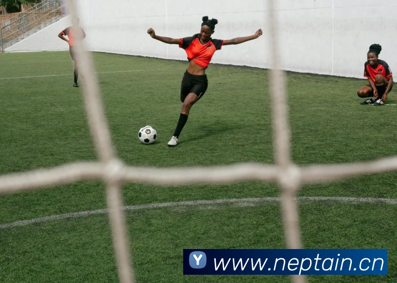 App Interface Preview